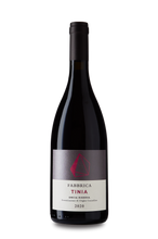 TINIA & UNI